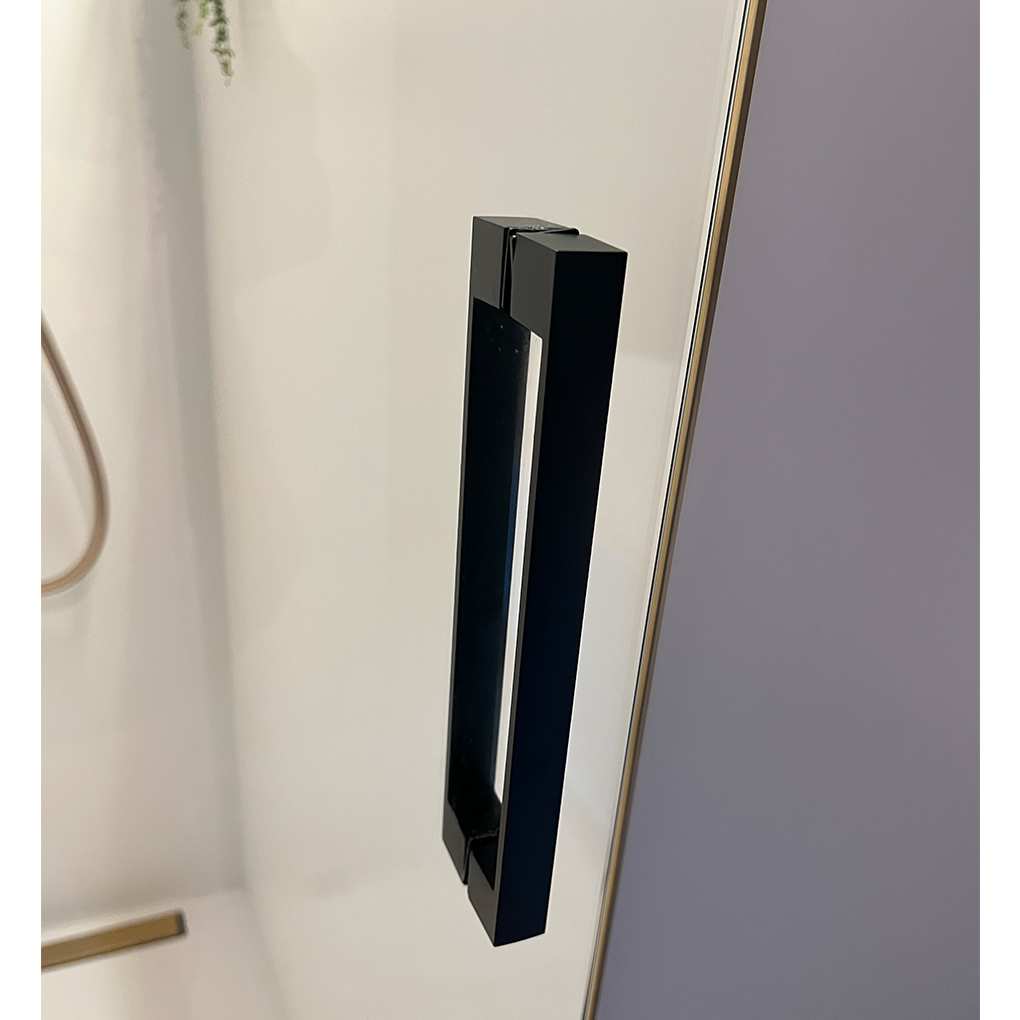 Wiesbaden Less Nisdeur 8mm Nano Spiegelrook naar Helder Glas / Staal